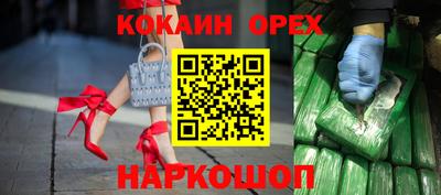 гидра Будённовск