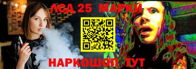 гидра Будённовск