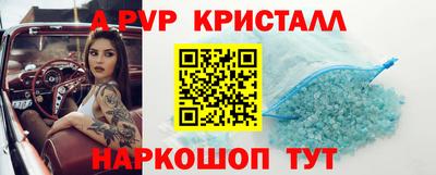 гидра Будённовск