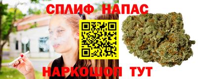 гидра Будённовск