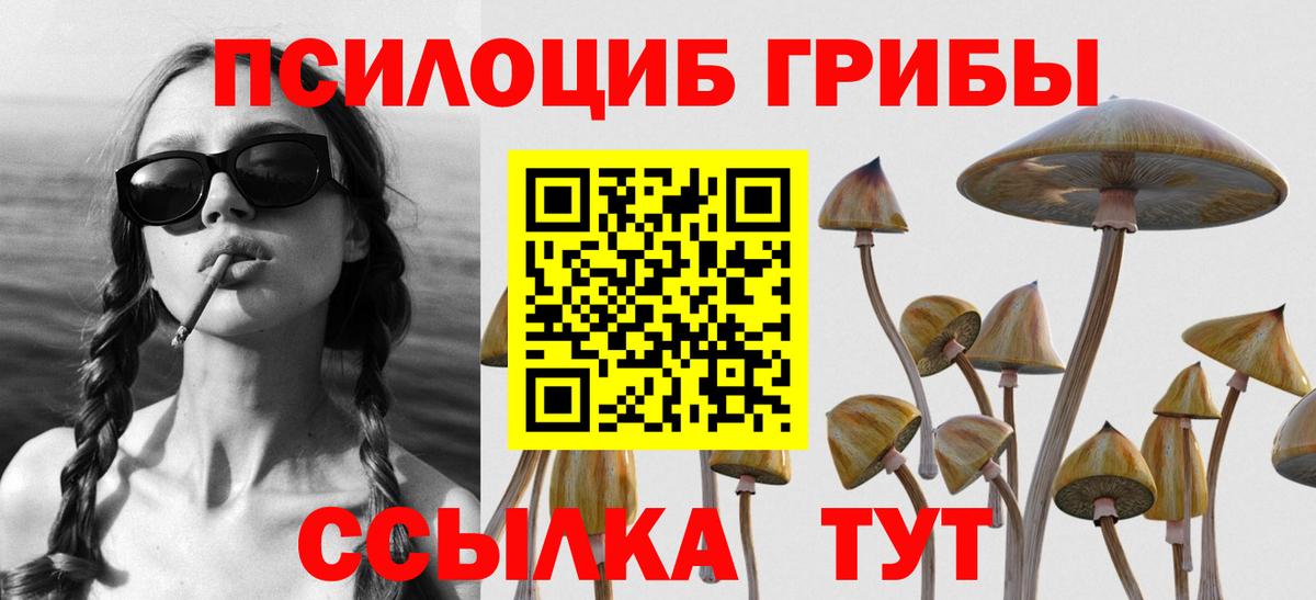 Галлюциногенные грибы ЛСД Новороссийск