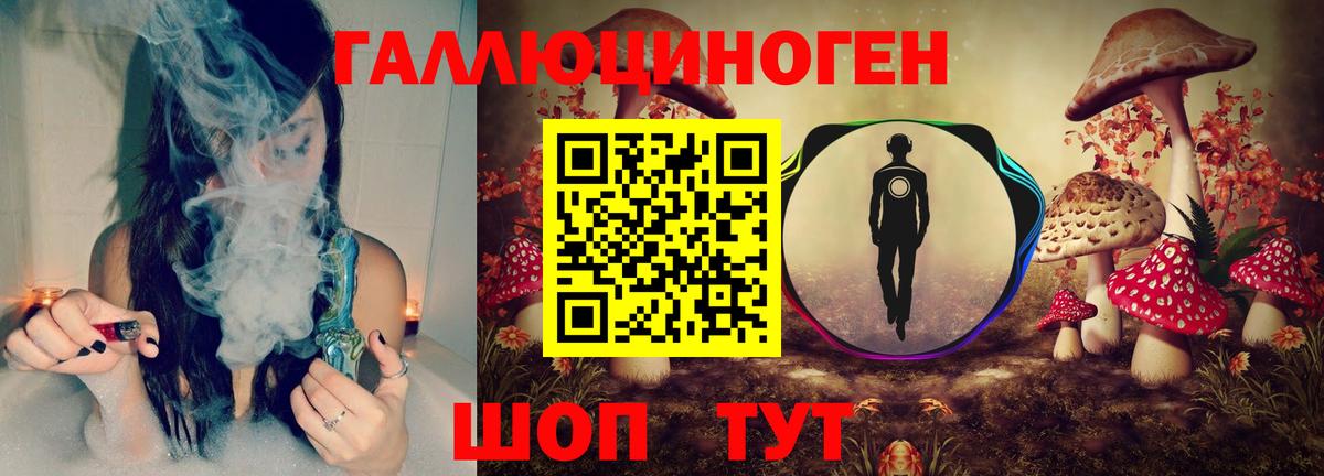 Галлюциногенные грибы MAGIC MUSHROOMS  Псилоцибиновые грибы MAGIC MUSHROOMS  Новороссийск  Вход с VPN 